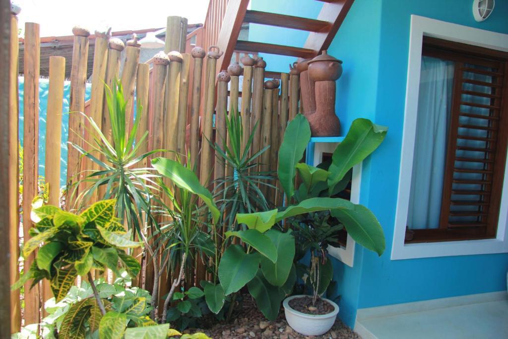 Casa Azul Villa Praia de Pipa ภายนอก รูปภาพ